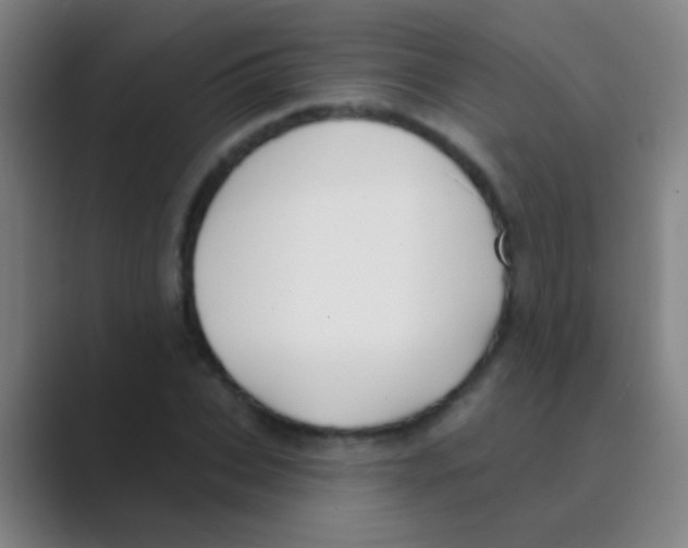 X0000088710927200706282040