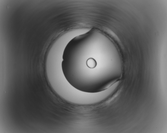 X0000088710930200706282040