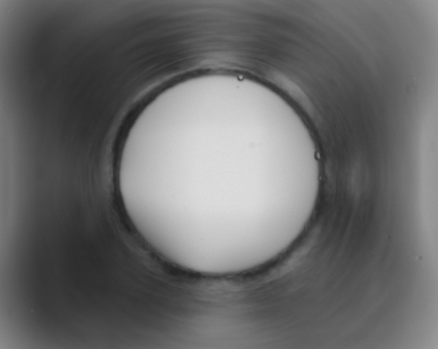 X0000088710931200706282040