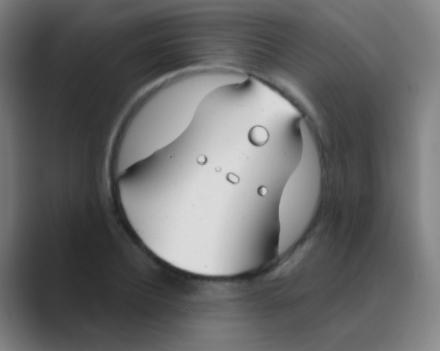 X0000088710932200706282040