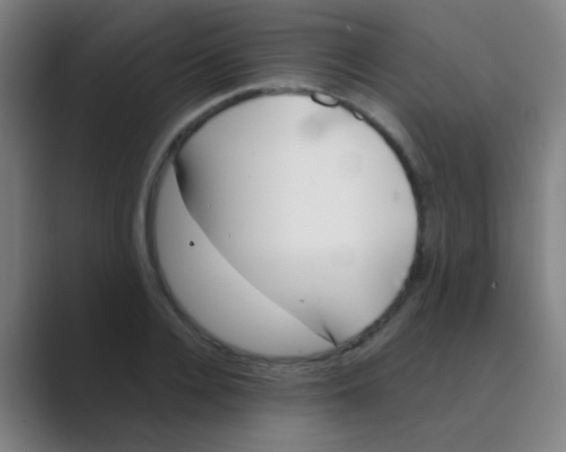 X0000088710936200706282040