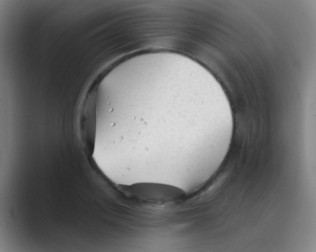 X0000088710939200706282040