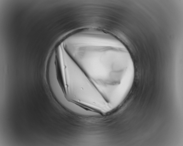 X0000088710940200706282040