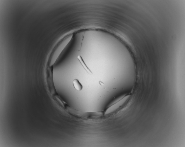 X0000088710942200706282040