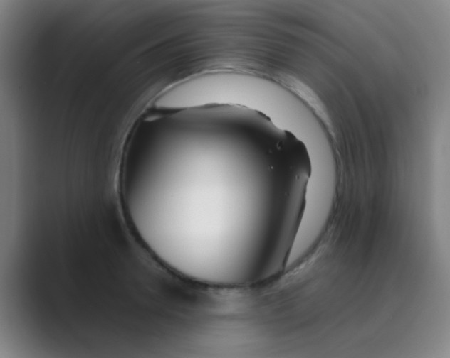 X0000088710946200706282041