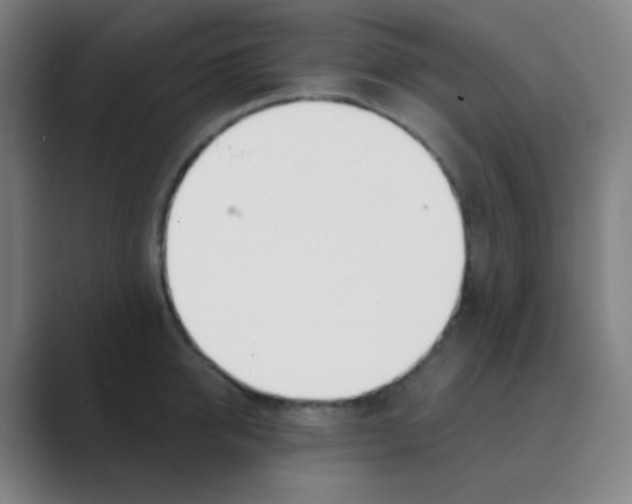 X0000088710950200706282041