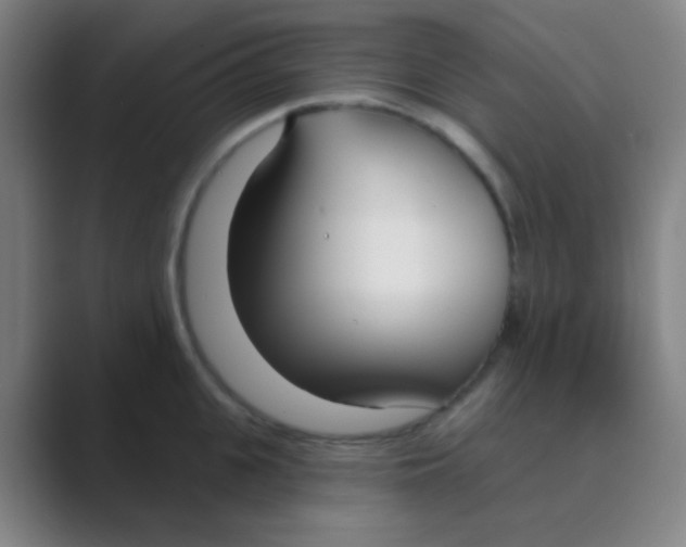 X0000088710951200706282041