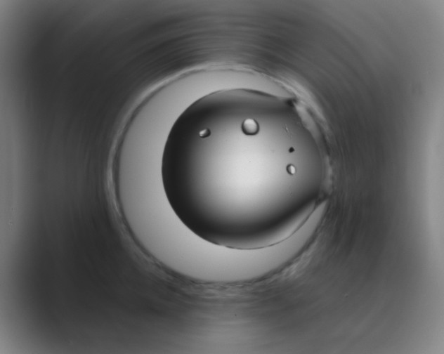 X0000088710952200706282041