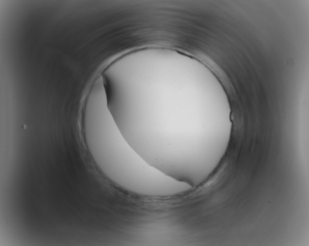 X0000088710956200706282041