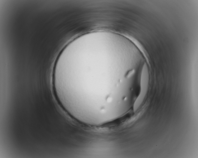 X0000088710957200706282041