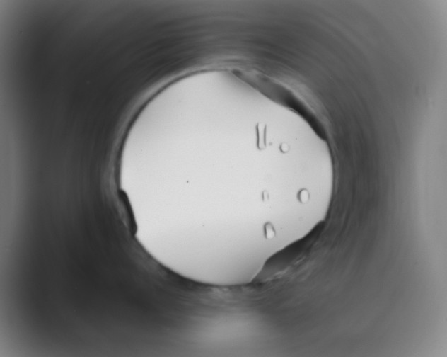 X0000088710960200706282041