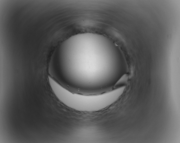 X0000088710965200706282040