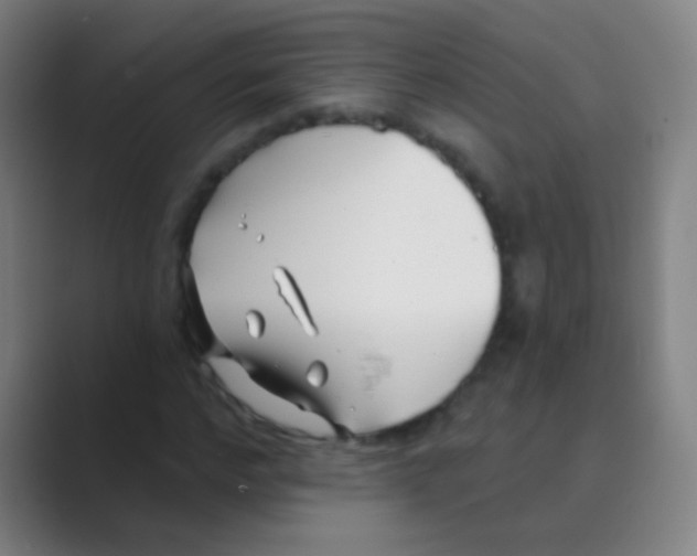 X0000088710968200706282040