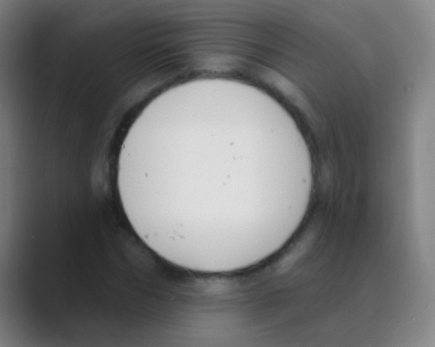 X0000088710970200706282040