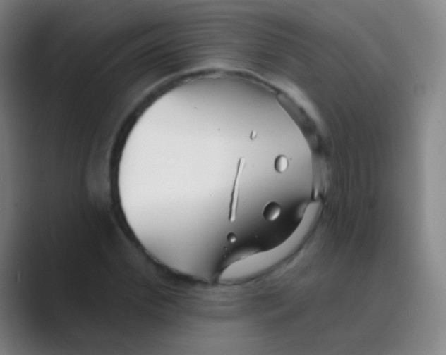 X0000088710972200706282040