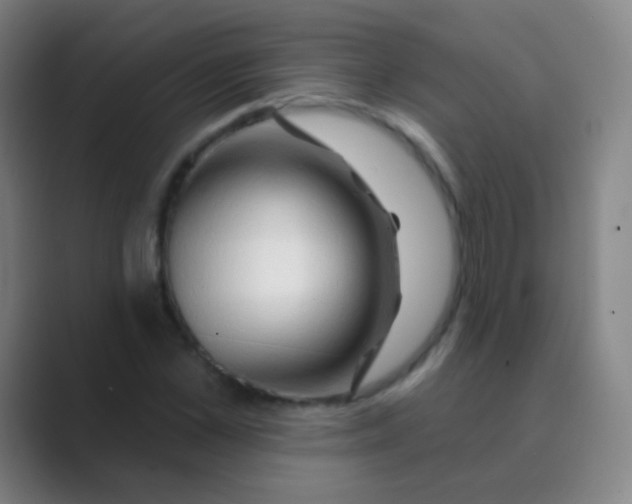 X0000088710973200706282040