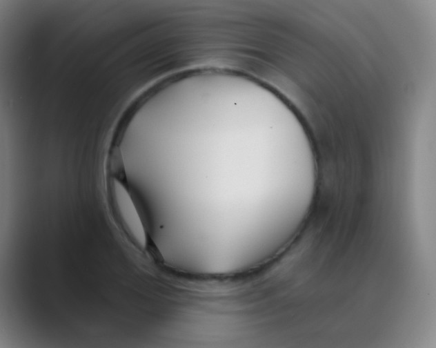 X0000088710980200706282040