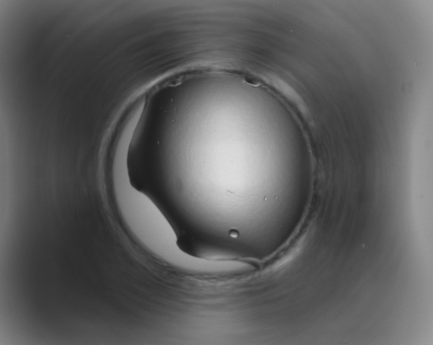 X0000088710981200706282040