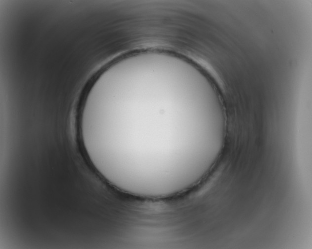 X0000088710983200706282040