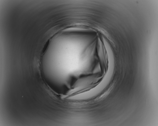 X0000088710985200706282040