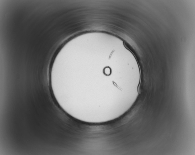 X0000088710988200706282040