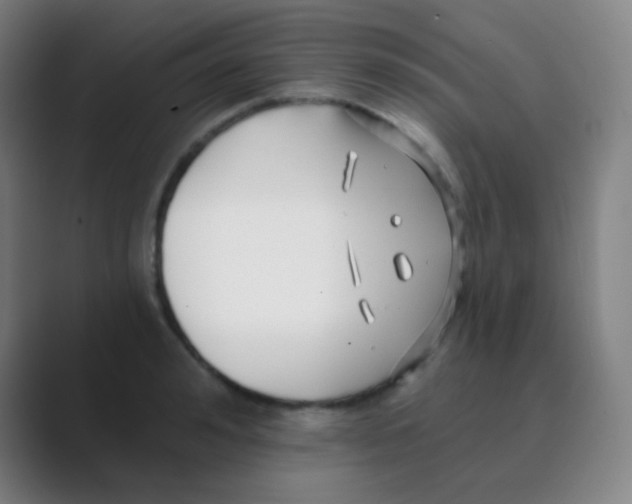 X0000088710992200706282040