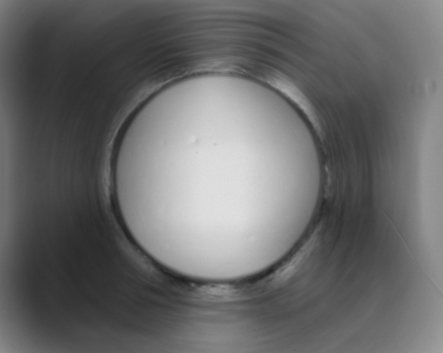 X0000088710994200706282040