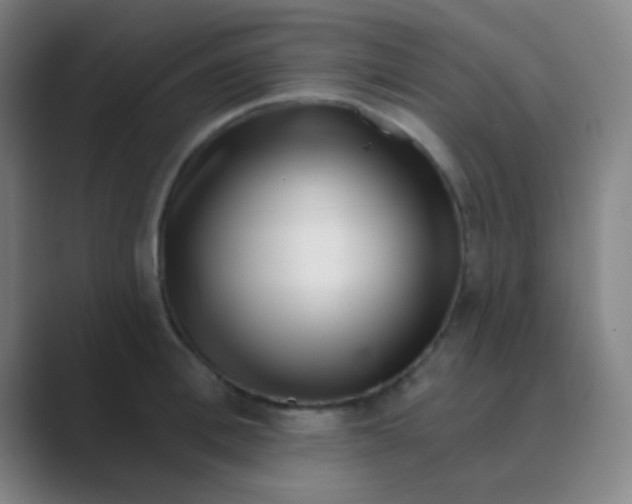 X0000088710996200706282040