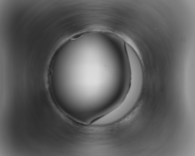 X0000088710997200706282040