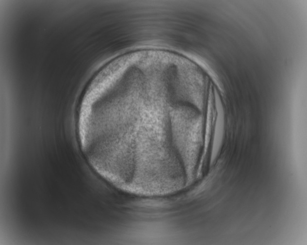 X0000088710998200706282040