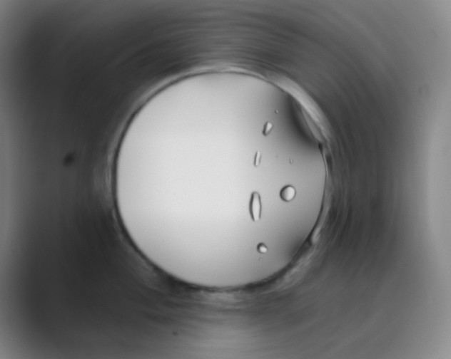 X0000088711004200706282040