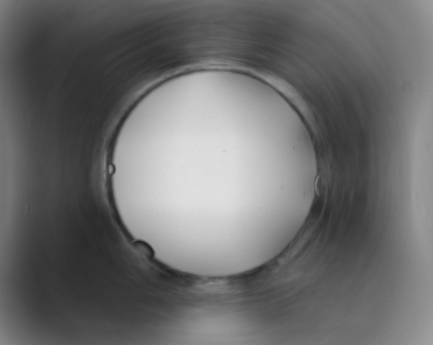 X0000088711006200706282039