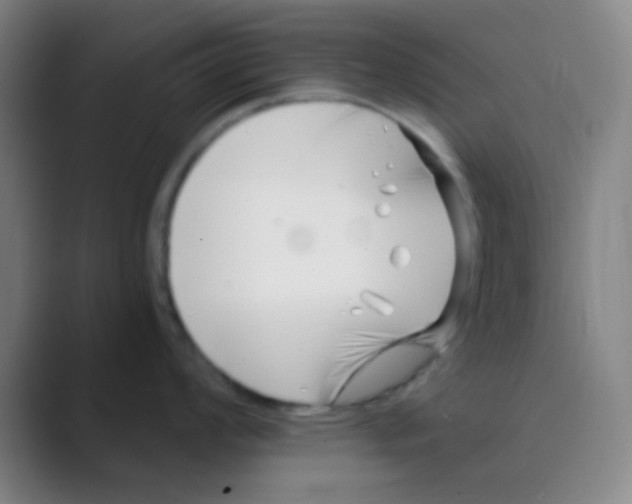 X0000088711008200706282039