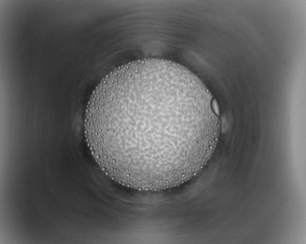 X0000088711011200706282039