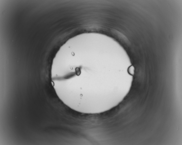 X0000088711016200706282039