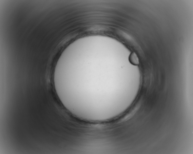 X0000088711017200706282039