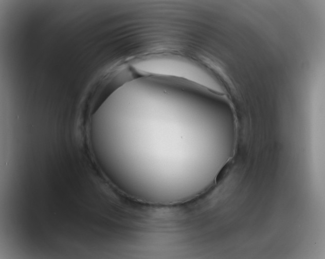 X0000088711018200706282039