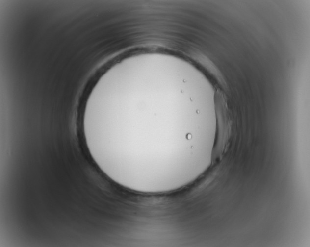 X0000088711020200706282039