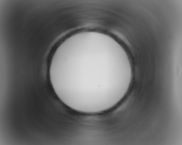 X0000088711021200706282039