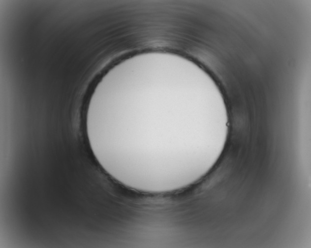 X0000088711023200706282039