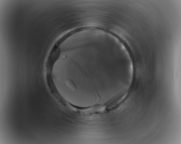 X0000088711024200706282039