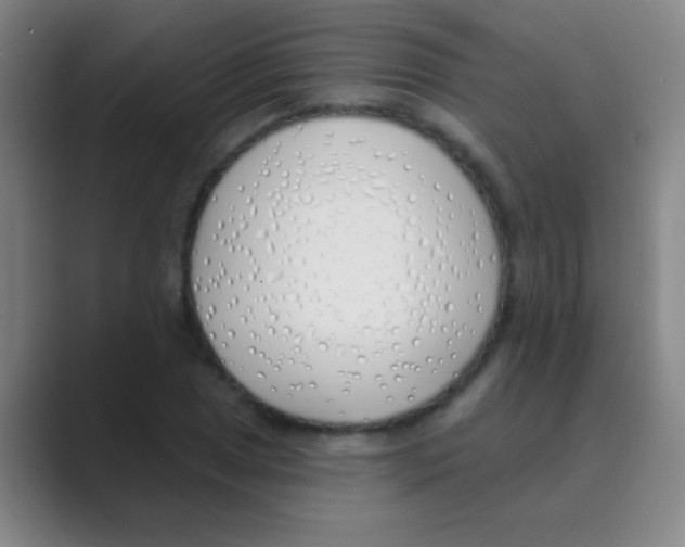 X0000088711025200706282039