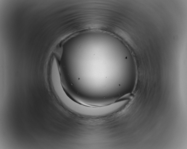 X0000088711026200706282039