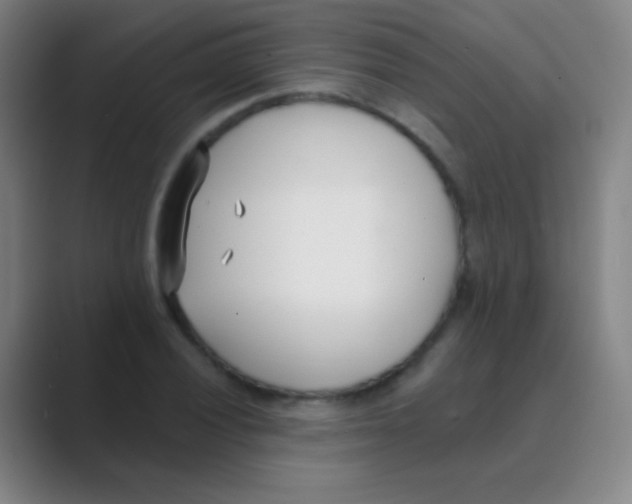 X0000088711028200706282039