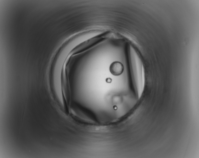 X0000088711030200706282039