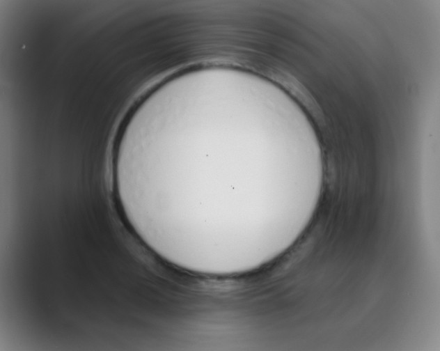 X0000088711036200706282039