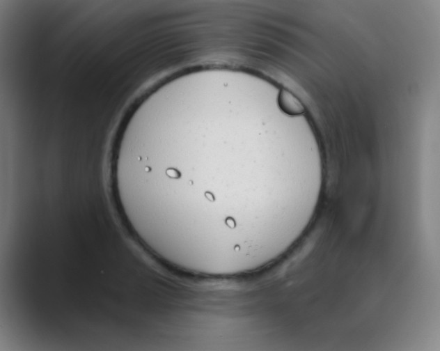 X0000088711037200706282039