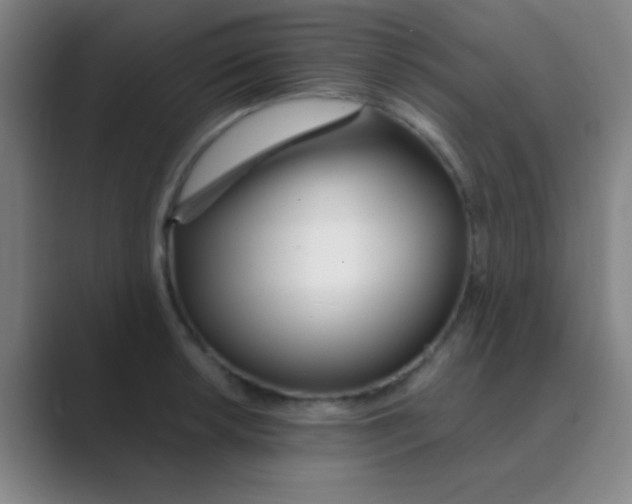 X0000088711042200706282039