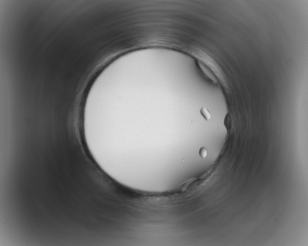 X0000088711043200706282039