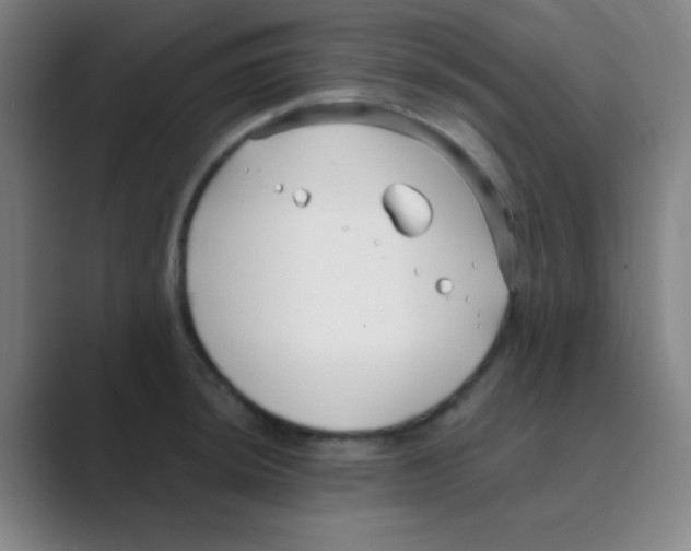 X0000088711044200706282039